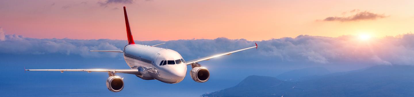 Airlink to Launch Direct Flights Between Joburg and PE | FCM Travel